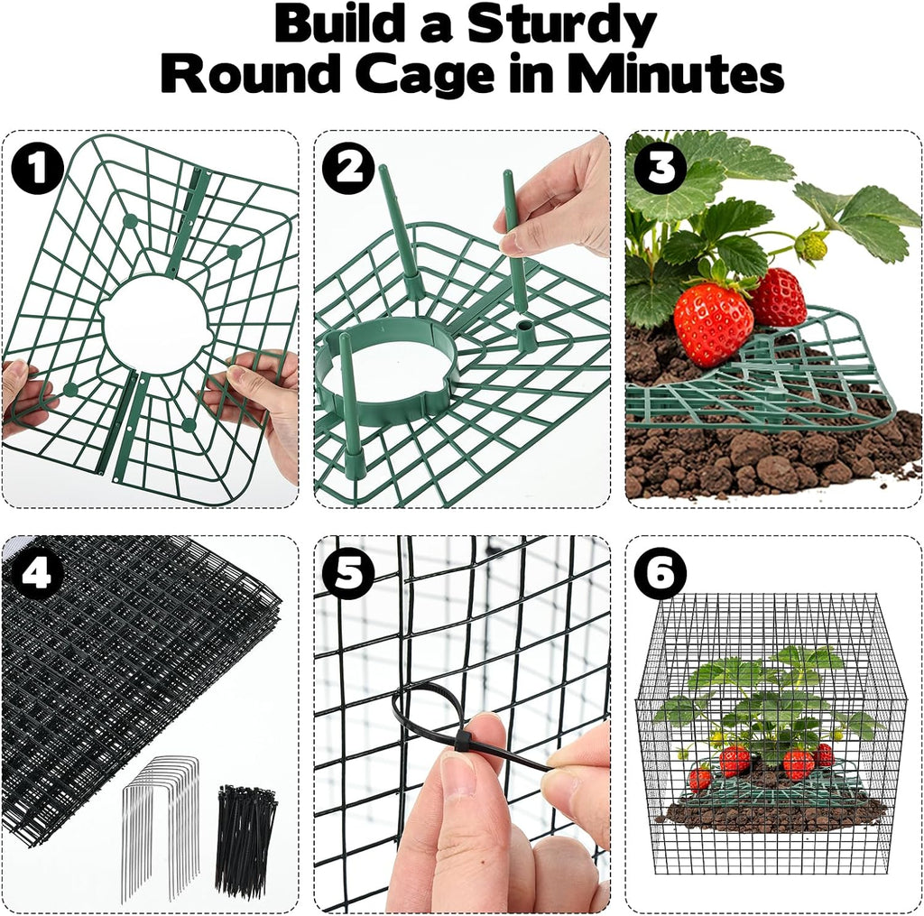 6 Set Upgraded Strawberry Protection Supports with Wire Plant Protectors from Animal Sturdy Metal Wire Plant Cages Mesh