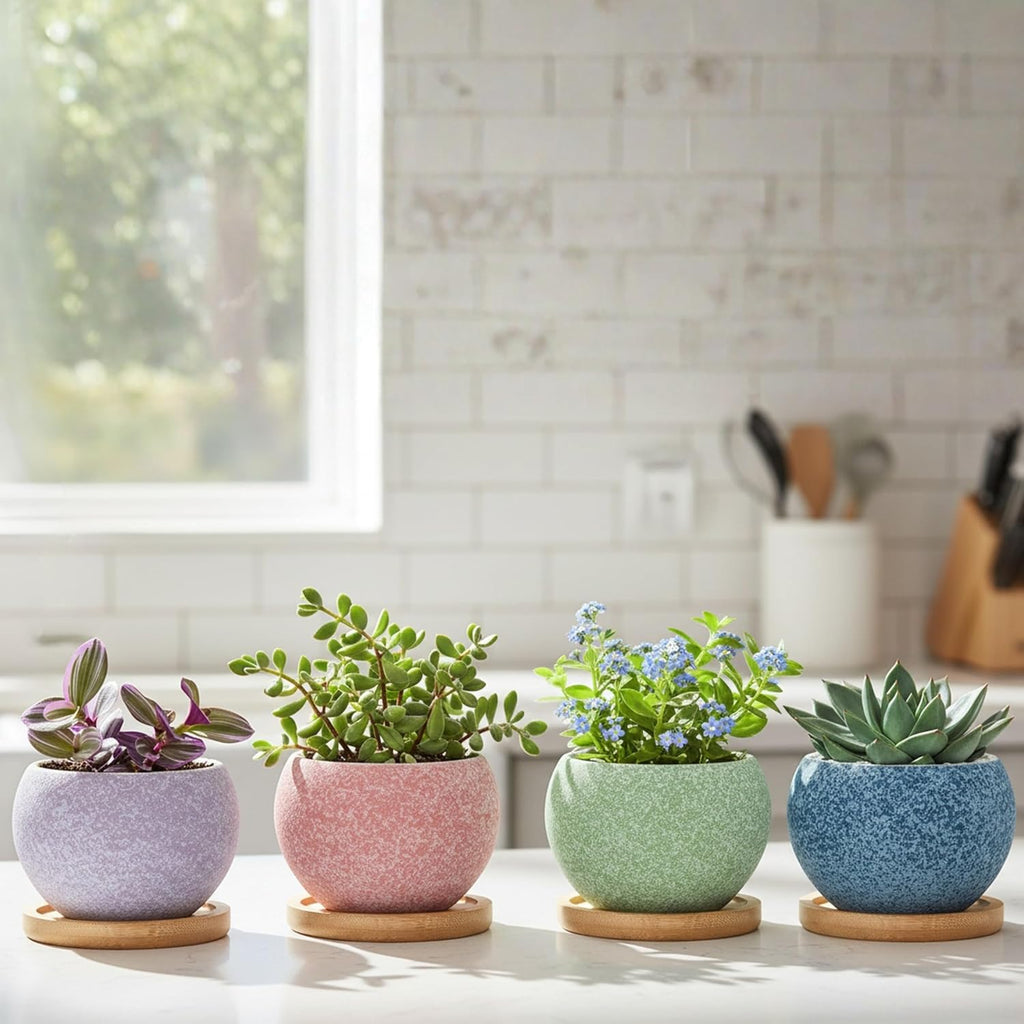 3 inch Ceramic pots for Plants, Small Succulent Pots Set with Drainage, 6 Pack Flower Pot for Indoor Plant, Planters