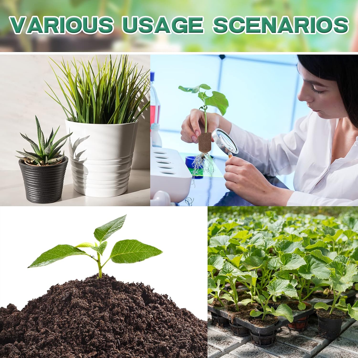 Hydroponic Sponges Grow Starter Pods Organic Growth Sponge Starter Plugs for Plant Cloning Growing (200 Pieces)