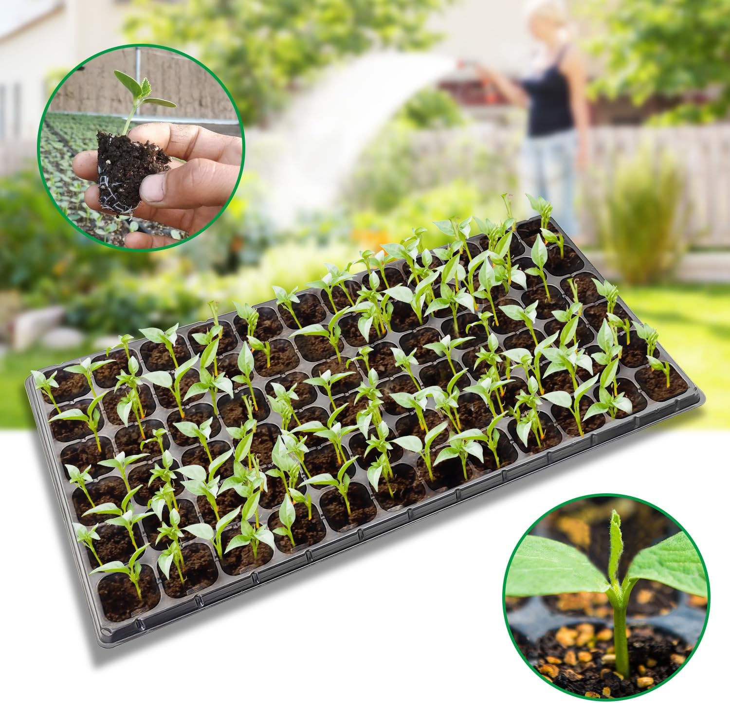 RooTrimmer 10 Pack 1020 Seed Starter Trays and 10 Pcs 72 Cell Plug Trays, Thick Durable Seedling Plastic Nursery Tray