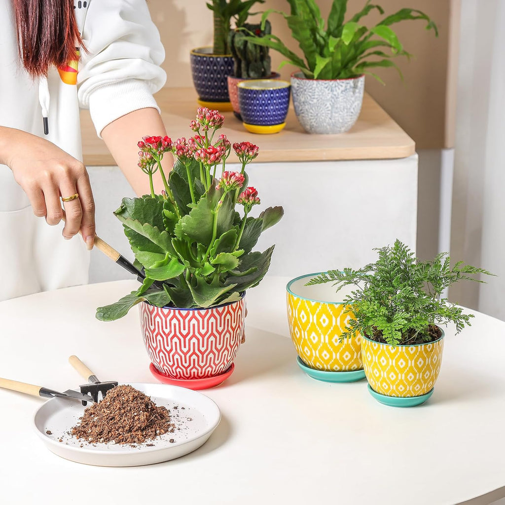 Selamica Ceramic Plant Pots, 4.6 Inch Flower Pots for Indoor Plants, Succulent Pots with Drainage Hole & Saucer