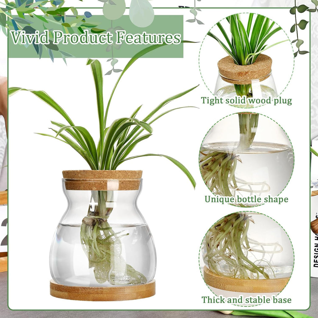 Beeveer 6 Pcs Plants Propagation Station Separated Desktop Plant Terrarium with Wood Lid and Stand, 3 Sizes Glass