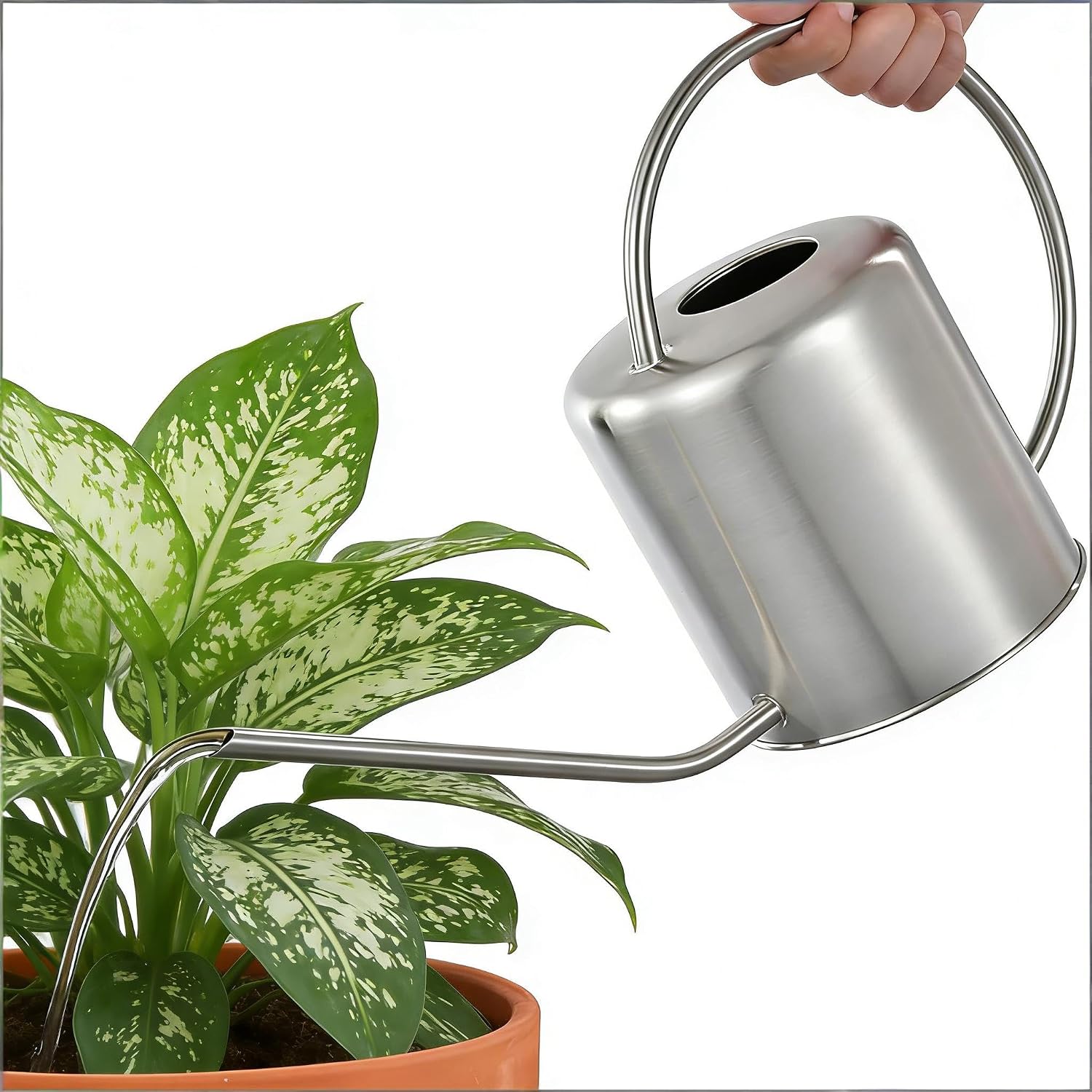 Fasmov 51 Oz Stainless Steel Watering Can Modern Style Watering Pot, Watering Can with Long Spout for Easy Pour, Water
