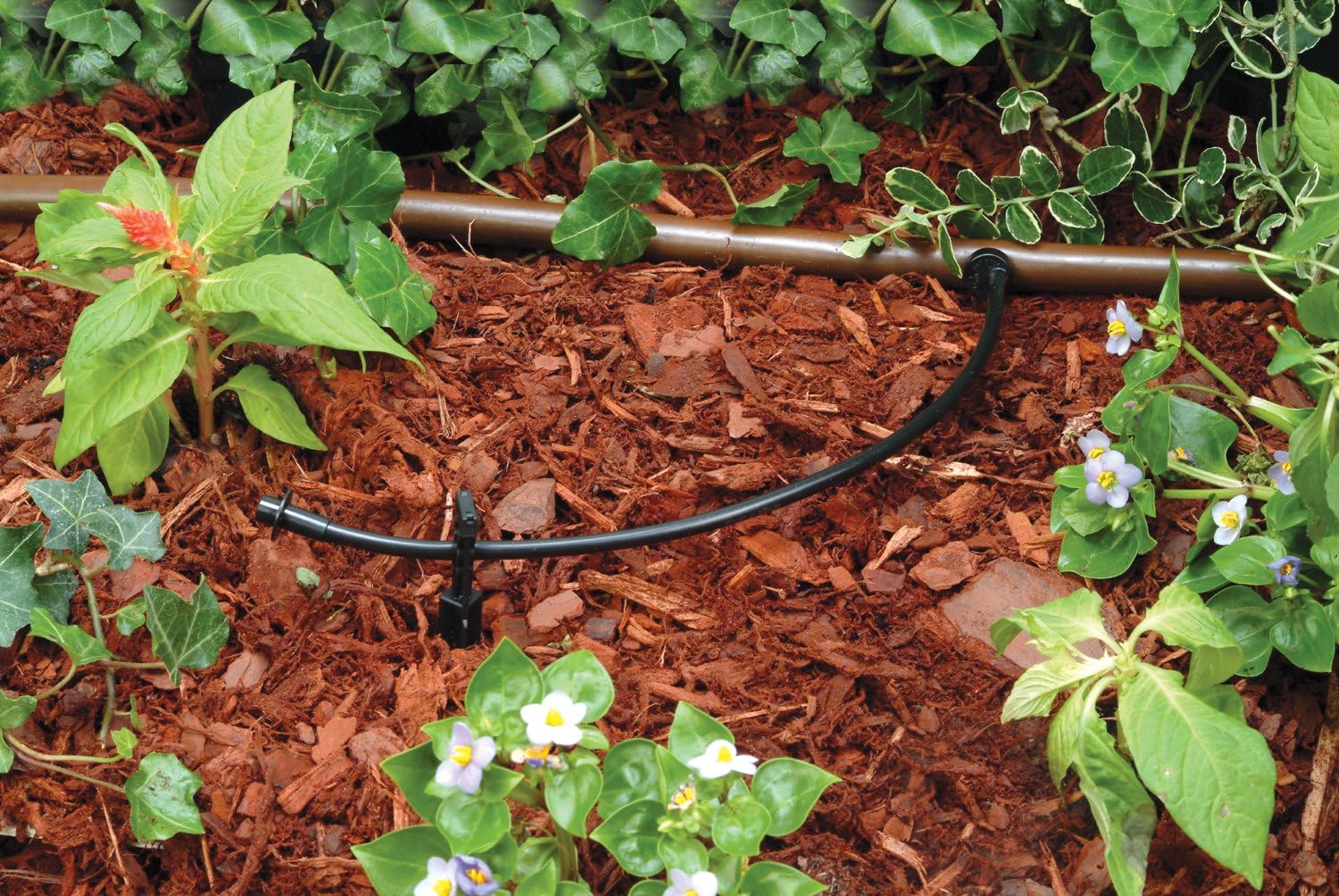 Rain Bird LNDDRIPKIT Drip Irrigation Kit