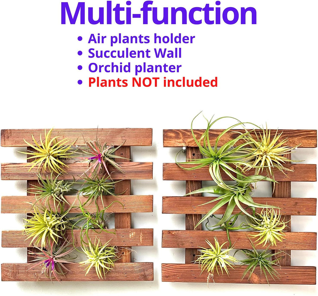 ShopLaLa Wall Planter - 2 Pack Wooden Hanging Succulent Wall Decor, Live Air Plants Orchids Wall Mounted Holder Frame