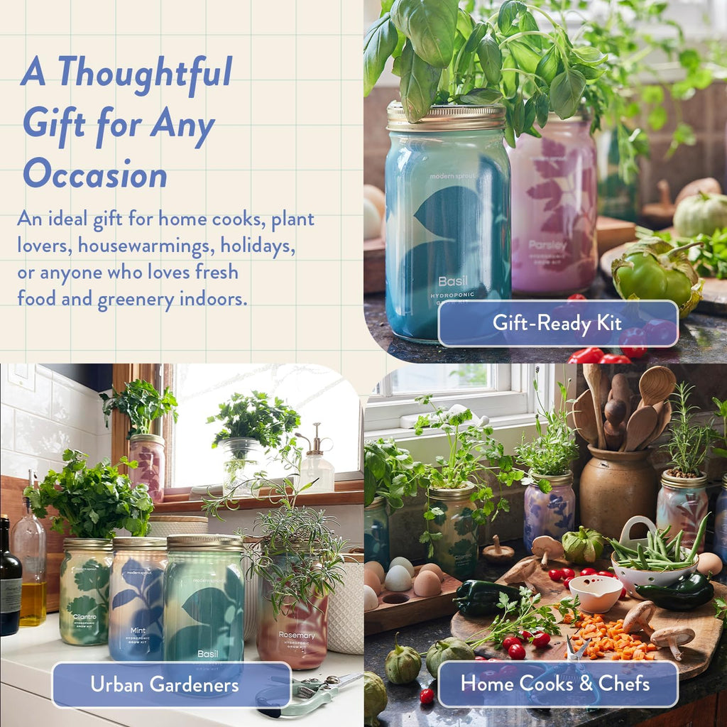 Modern Sprout MasonJar+Replant Kit-Self-Watering Hydroponic System-Lavender | Growing System Kit w/Organic Herb Seeds
