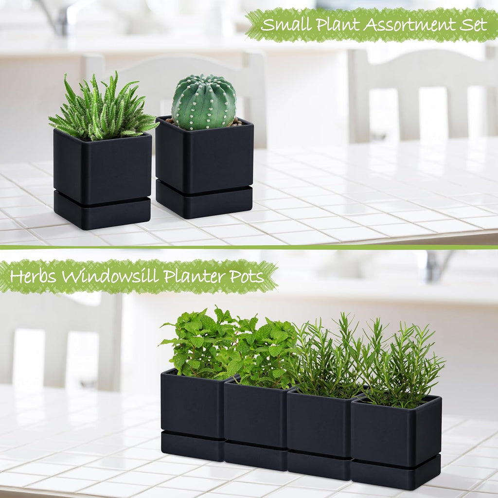 D'vine Dev 4-Pack Plastic Herb Planter Pots, 4 in, Black, 76-Y-B4-1 | Sleek Minimalist Style, Window Herb Garden