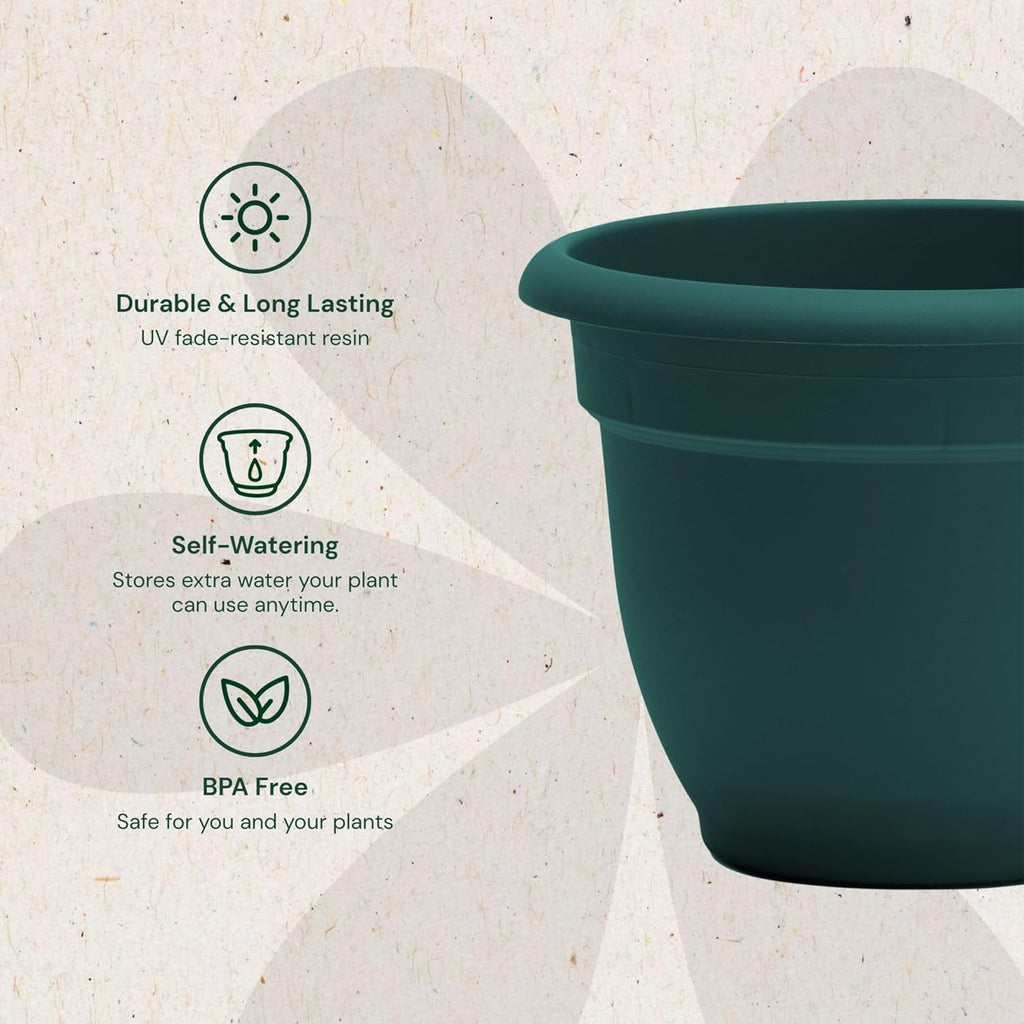 Bloem Ariana 12" Plastic Self-Watering Planter, Charleston Green, 2-Pack | Self-watering disk at the bottom of each pot