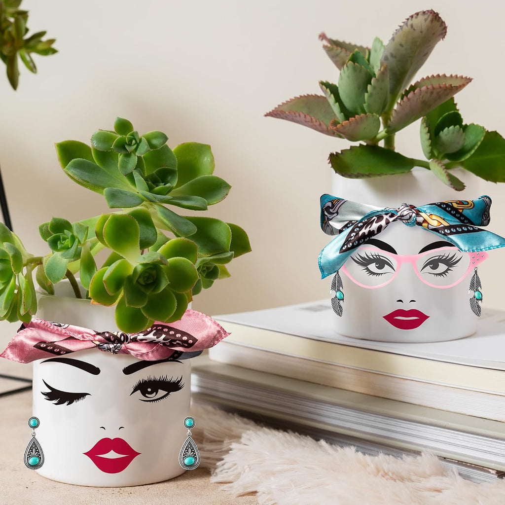 DSjuedui Funny Face Planter Pots Accessories Kit – 29Pcs Face Stickers for Mouth Eyes Eyebrows Nose with Glasses