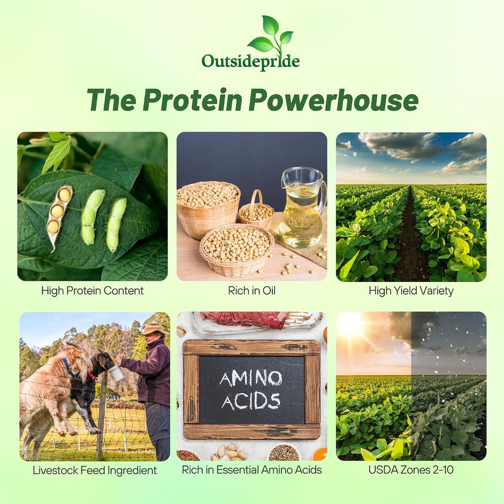 Outsidepride Soybean Seeds - 5 lbs High-Protein & High Yield Heirloom Variety Soy Beans, Ideal for Oil Processing