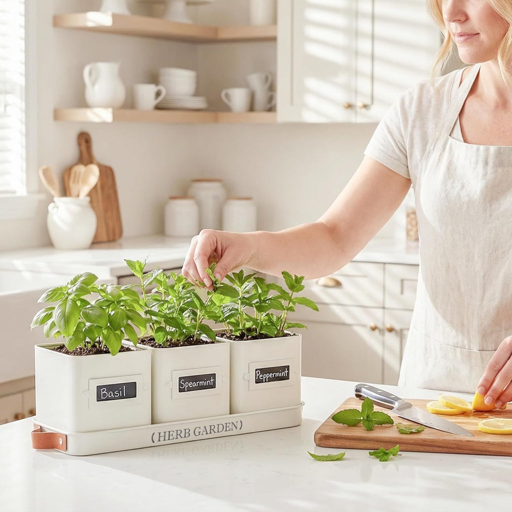 PERFNIQUE Indoor Herb Garden, Herb Planter Set with Tray, Farmhouse Indoor Plant Pots, Windowsill Herb Garden with