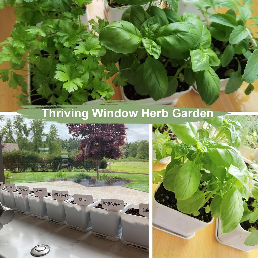 Indoor Herb Garden Kit – 10 Non-GMO Herb Seeds with Soil, Pots & Moisture Meter – Easy Windowsill Gardening Starter Set