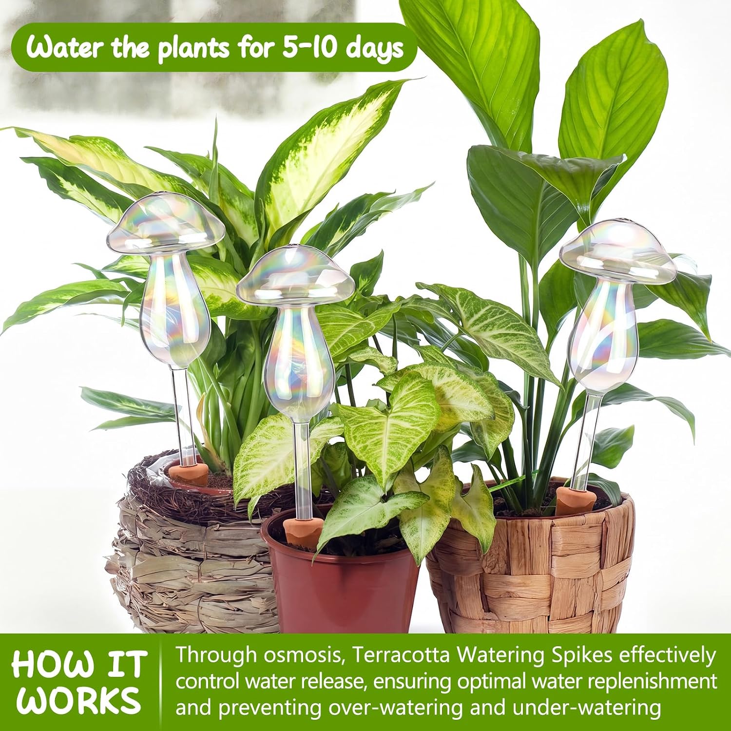 6 Pcs Non-Clogging Plant Watering Globes, Slow Release Mushroom Self Watering Planter Insert, Laser Automatic Glass