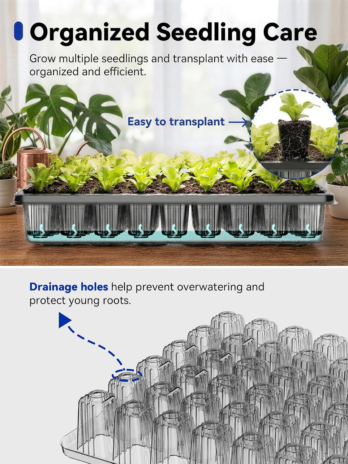 Seed Starter Tray with Grow Lights, 54-Cell Plant Germination | 4.3" Humidity Dome, Indoor Seedling Starter Tray with