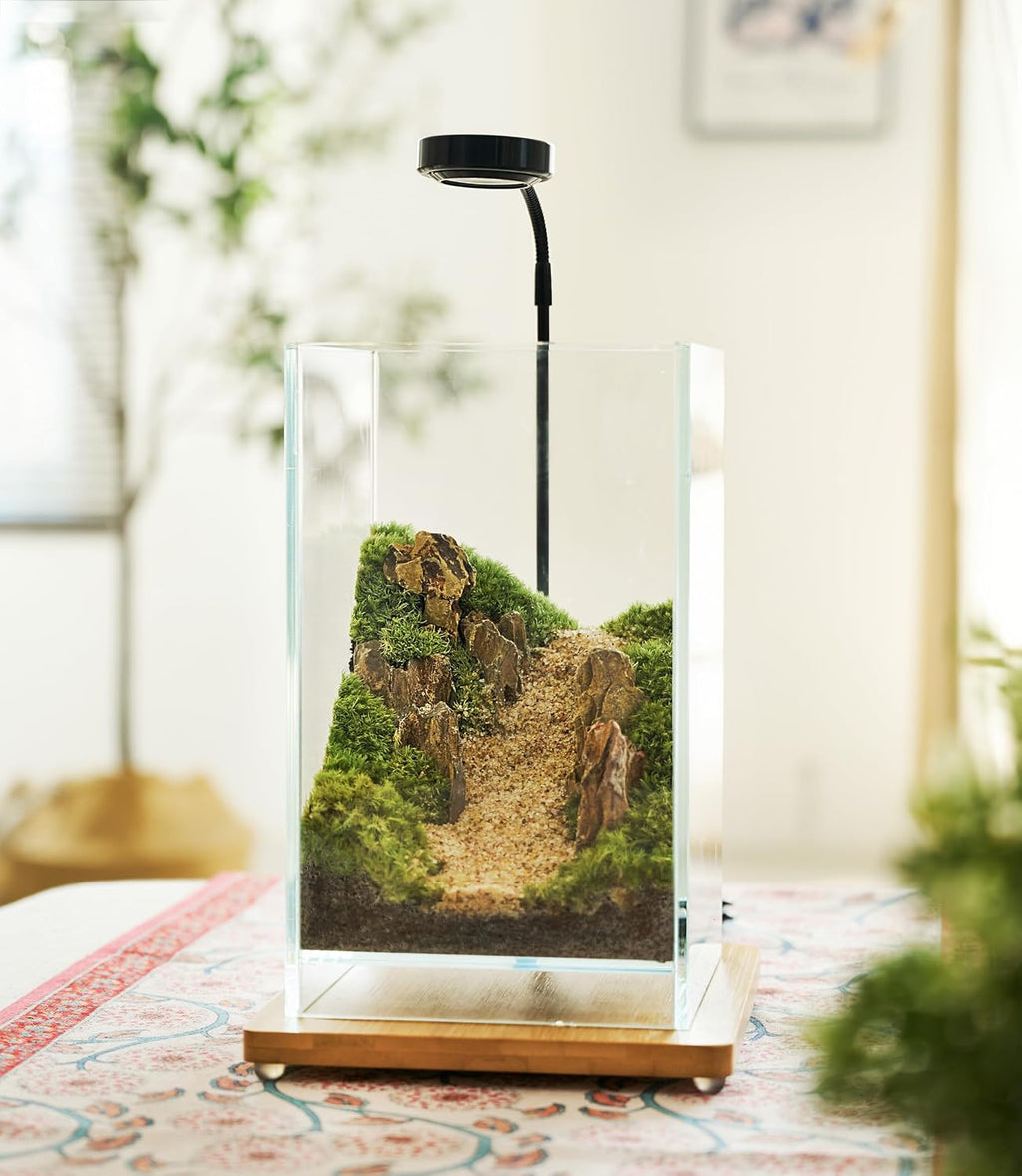 27 PCS Glass Plant Terrarium Kit with LED Grow Light– DIY Moss Terrarium Kit for Adults, Mini Garden Set for Succulent