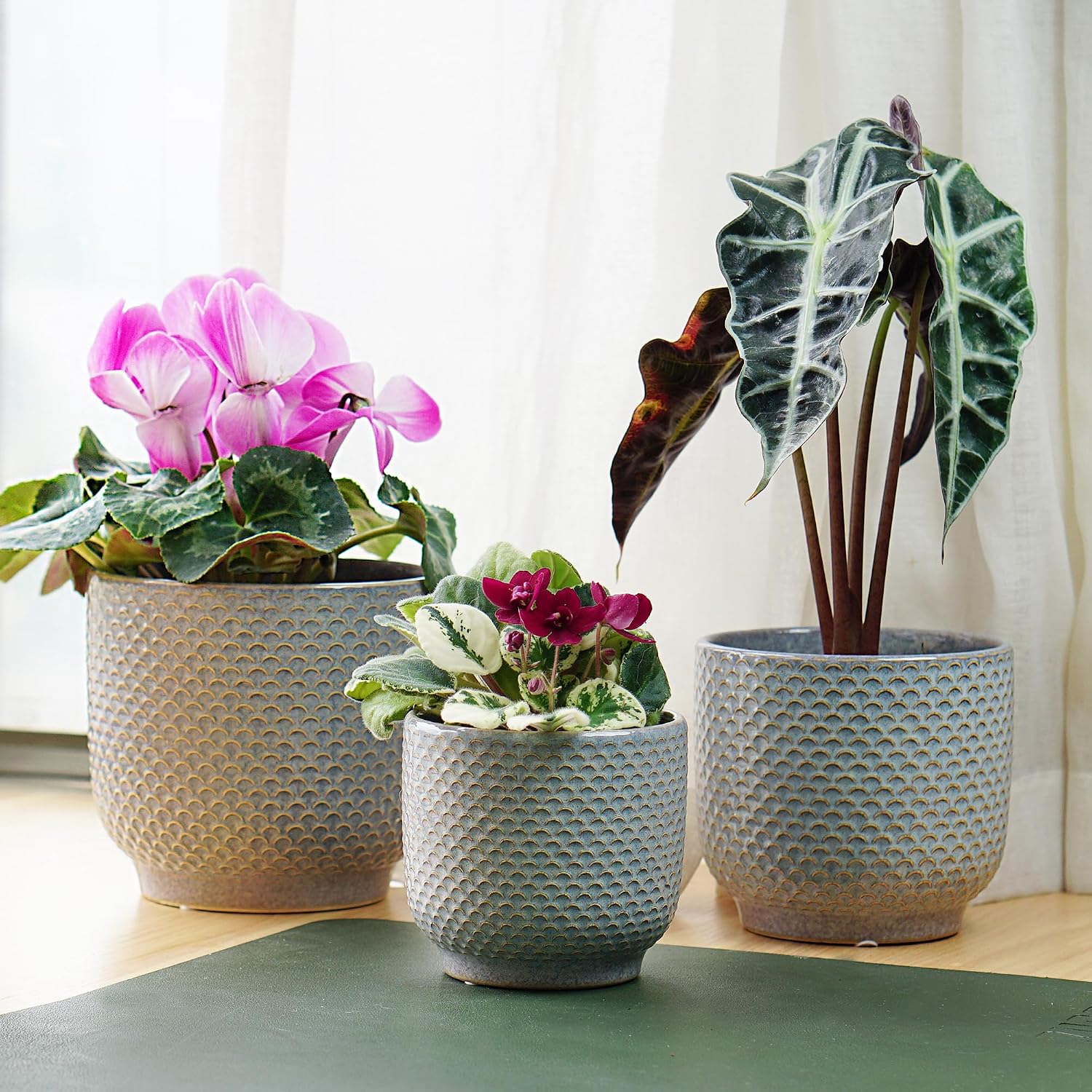 4 + 5 + 6 Inch Ceramic Pots for Indoor Plants, Succulents Plant Pots, Orchid Flower Pot with Drainage Hole, Modern Clay