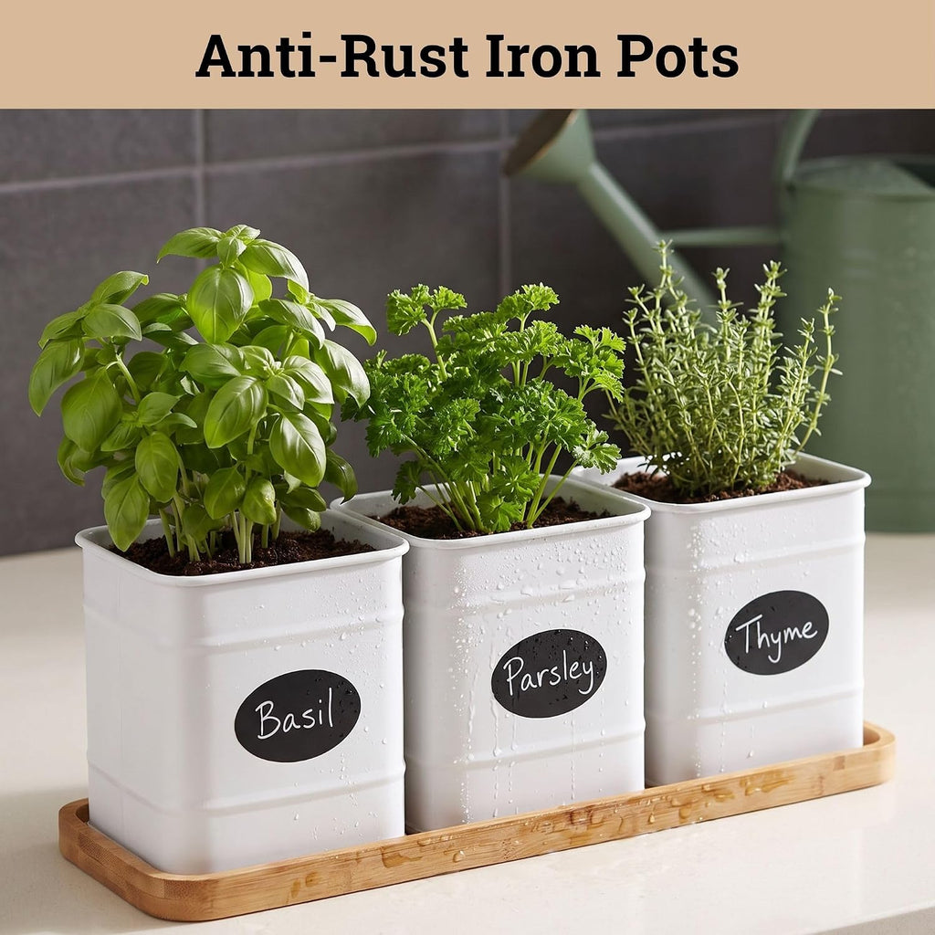 Herb Planter Indoor, 3-pc Herb Pots w/ Drainage Holes, Bamboo Tray & Labels | Iron Herb Pots, Varnished Bamboo Tray