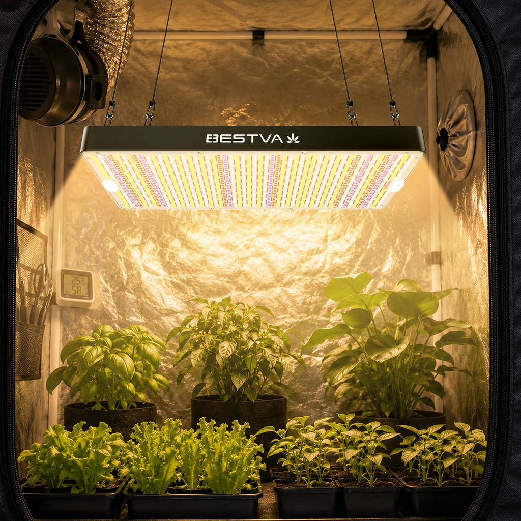DC3000 Grow Light for Indoor Plants, Dimmable Full Spectrum LED Plant Light | BESTVA 300W LED Plant Light with