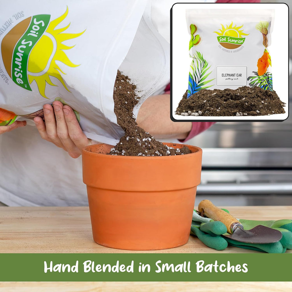 Soil Sunrise Elephant Ear Potting Soil Mix (8 Quarts) Colocasia and Alocasia Potted Plant Blend