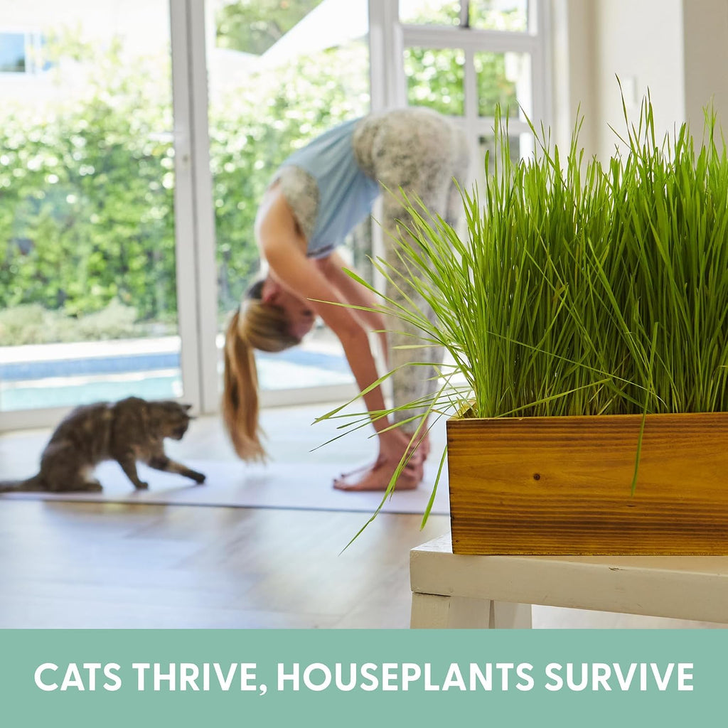 The Cat Ladies Cat Grass Kit with Rustic Wood Planter, Seed and Soil. Easy to Grow for Indoor or Outdoor Cats, Dogs and