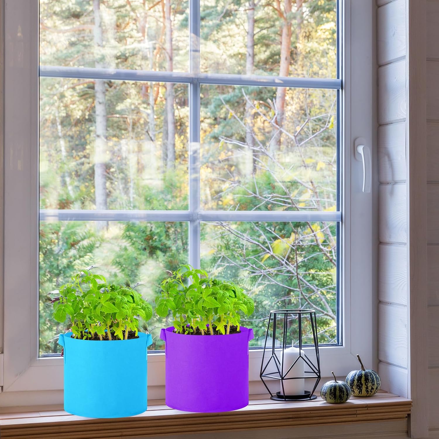 20 Pack 3 Gallon Grow Bags Multicolor Plant Grow Bag Non Woven Fabric Pots with Handles Garden Plant Seeds Tomato
