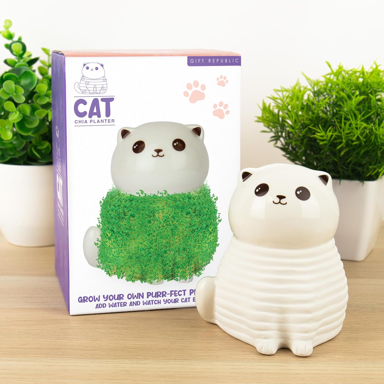 Gift Republic Cat Chia Planter Desktop Sprouting Chia Animal Fun Grow Kit