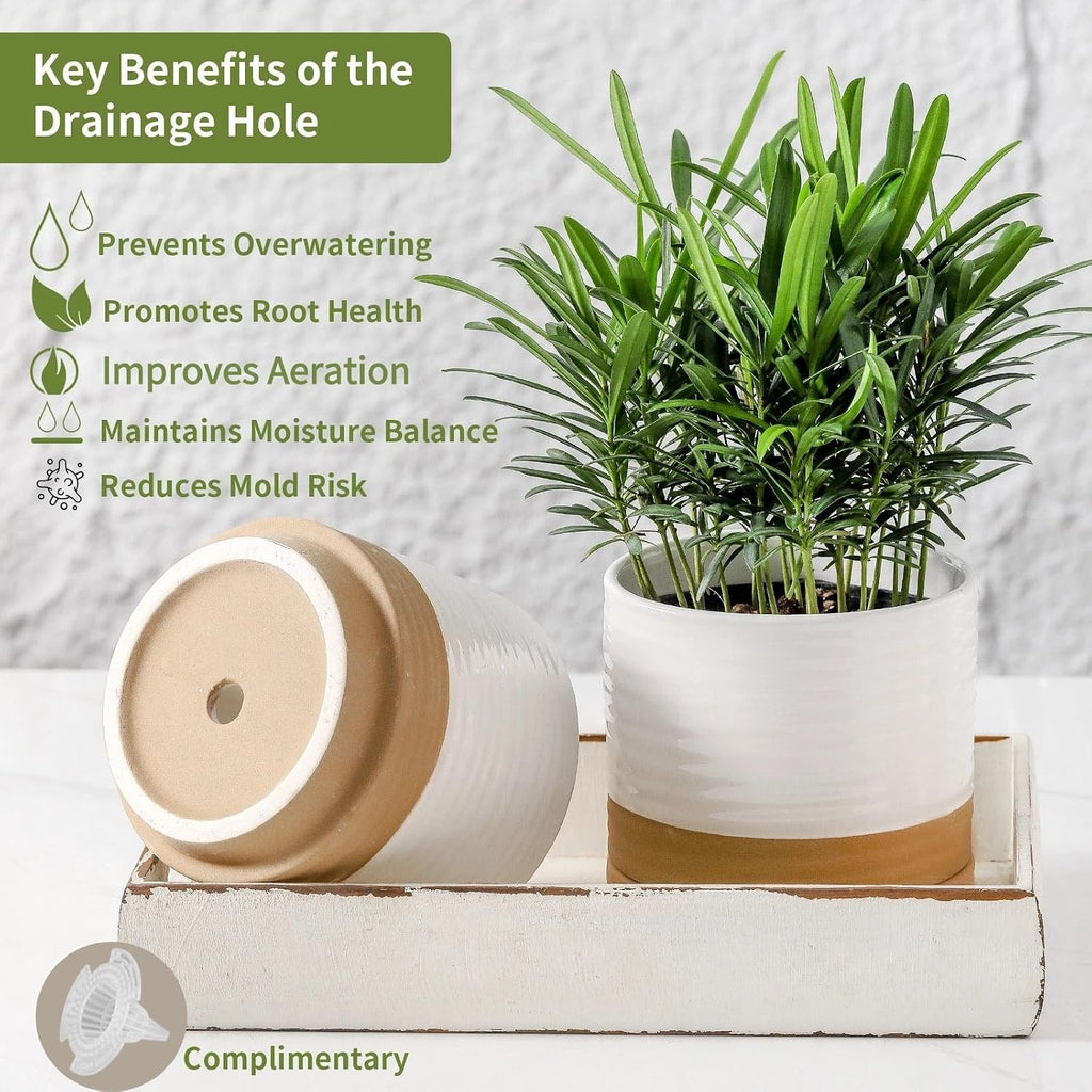 HASENSE Ceramic Plant Pots with Saucers Set of 3, 8+6+4.6 Inch Planters for Indoor Plants with Drainage Holes,Two-Tone