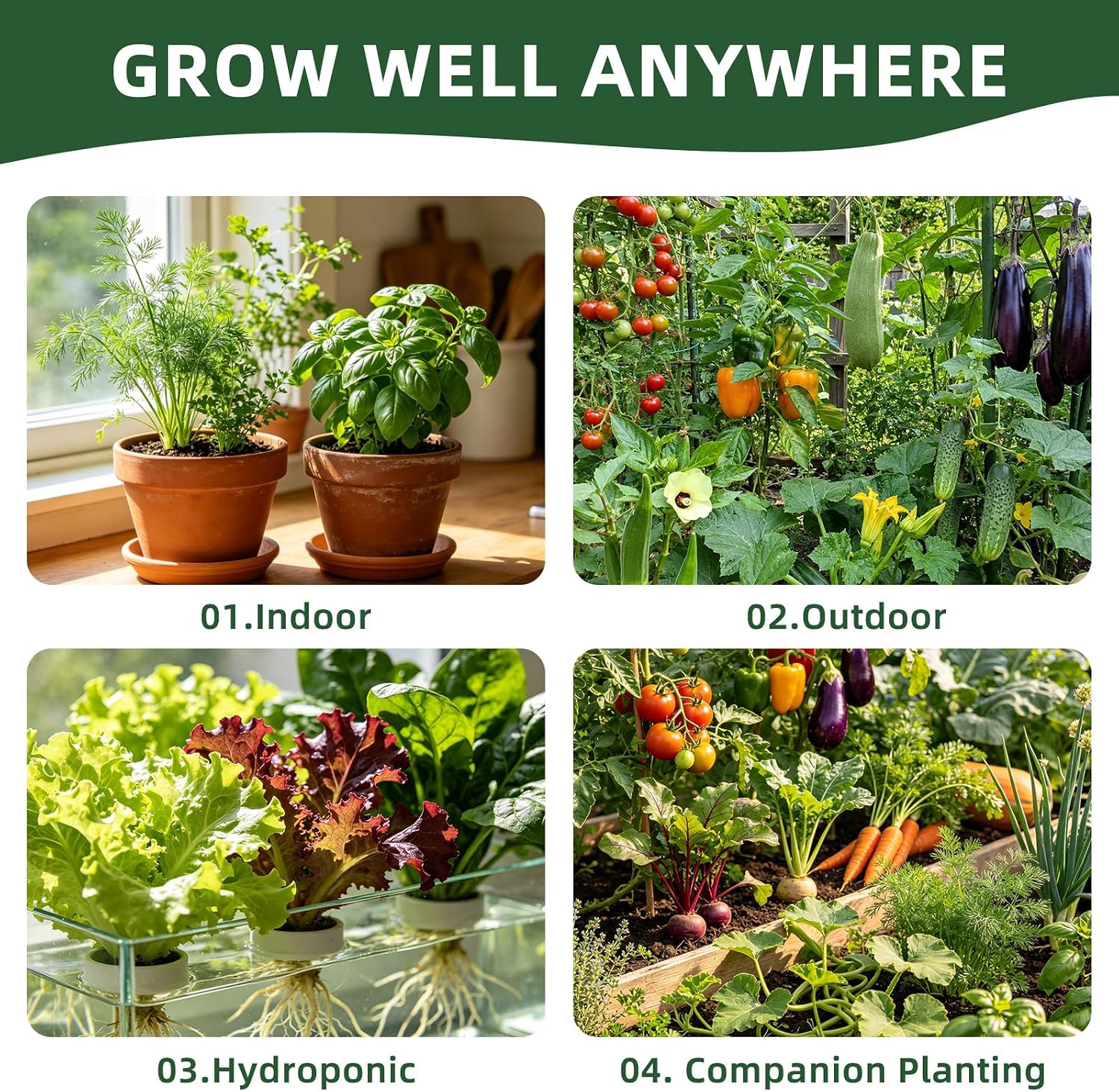 Vegetable Heirloom Seeds Vault Kit | 40 Varieties | 20,000+ High Yield Garden Seeds | Sweet Basil, Cherry Tomato