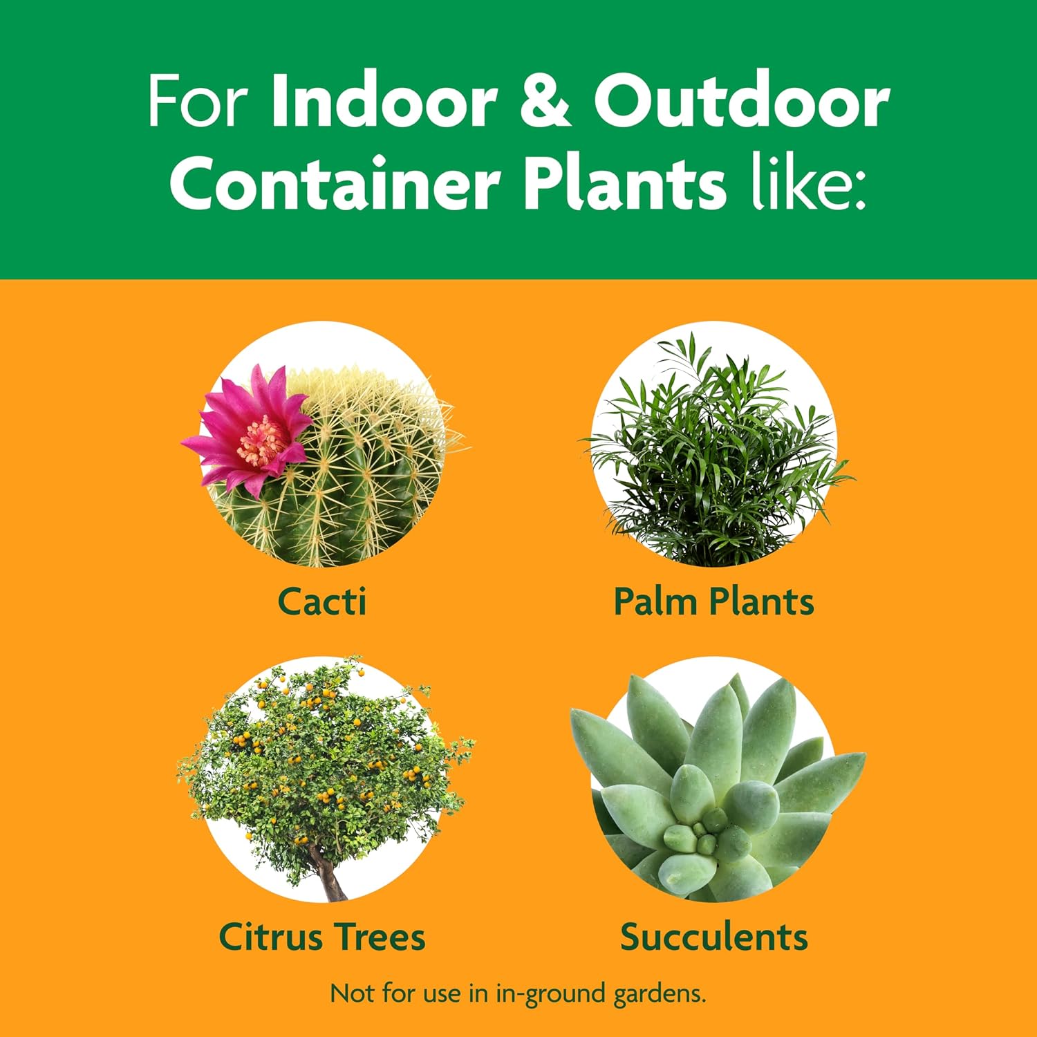 Gro Cactus, Palm & Citrus Potting Mix, 8 qt., 3-Pack | Palm and Citrus Potting Mix, For Indoor or Outdoor Container