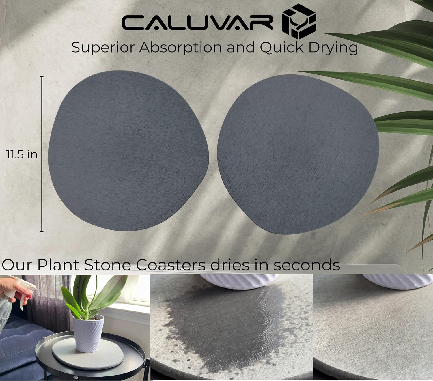 Stone Plant Saucer Set of 2 Large 11.5 in, Absorbent Diatomaceous Earth Plant Tray for Indoor Plants, Plant Pot Saucer