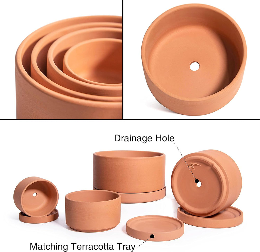 D'vine Dev Set of 4 Terracotta Shallow Planter Pots for Succulent, 3 Inch 4 Inch 5 Inch 6 Inch, Small Flower Plant Pots
