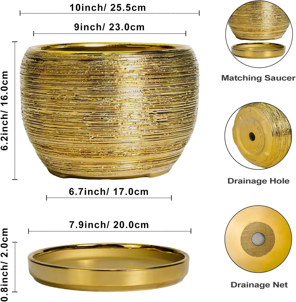 SQOWL Ceramic Planter for Indoor Plants - 10 Inch Plant Pot with Drainage Hole and Saucer, Modern Round Planter