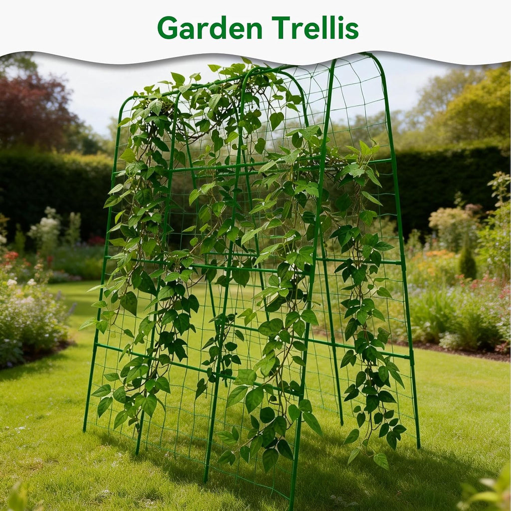 Cucumber Trellis - 62.4"*50" Cucumber Trellis for Raised Bed with Plastic-Coated Steel Pipe, U-Shape Garden Trellis for