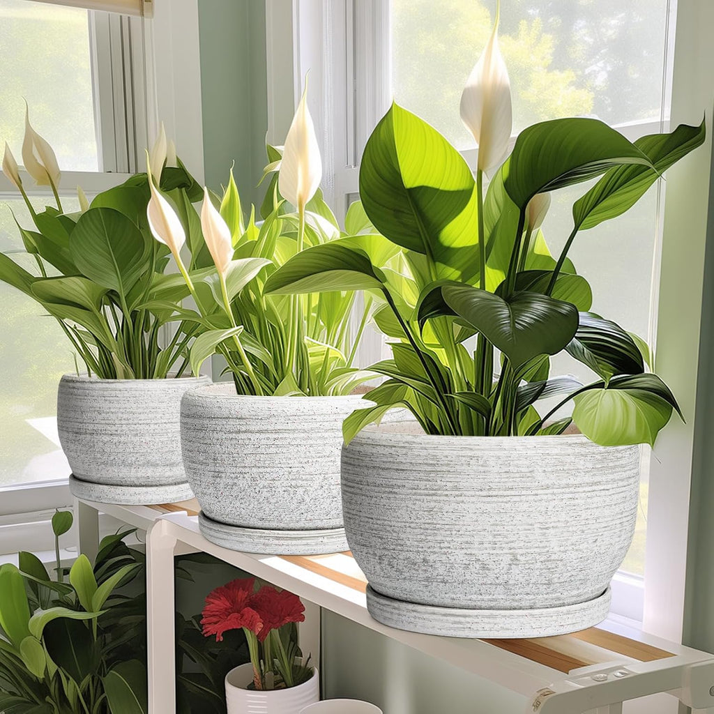 SQOWL Ceramic Plant Pots - 8 inch Planter for Indoor Plants, Round Flower Pot with Drainage Hole and Plant Saucer