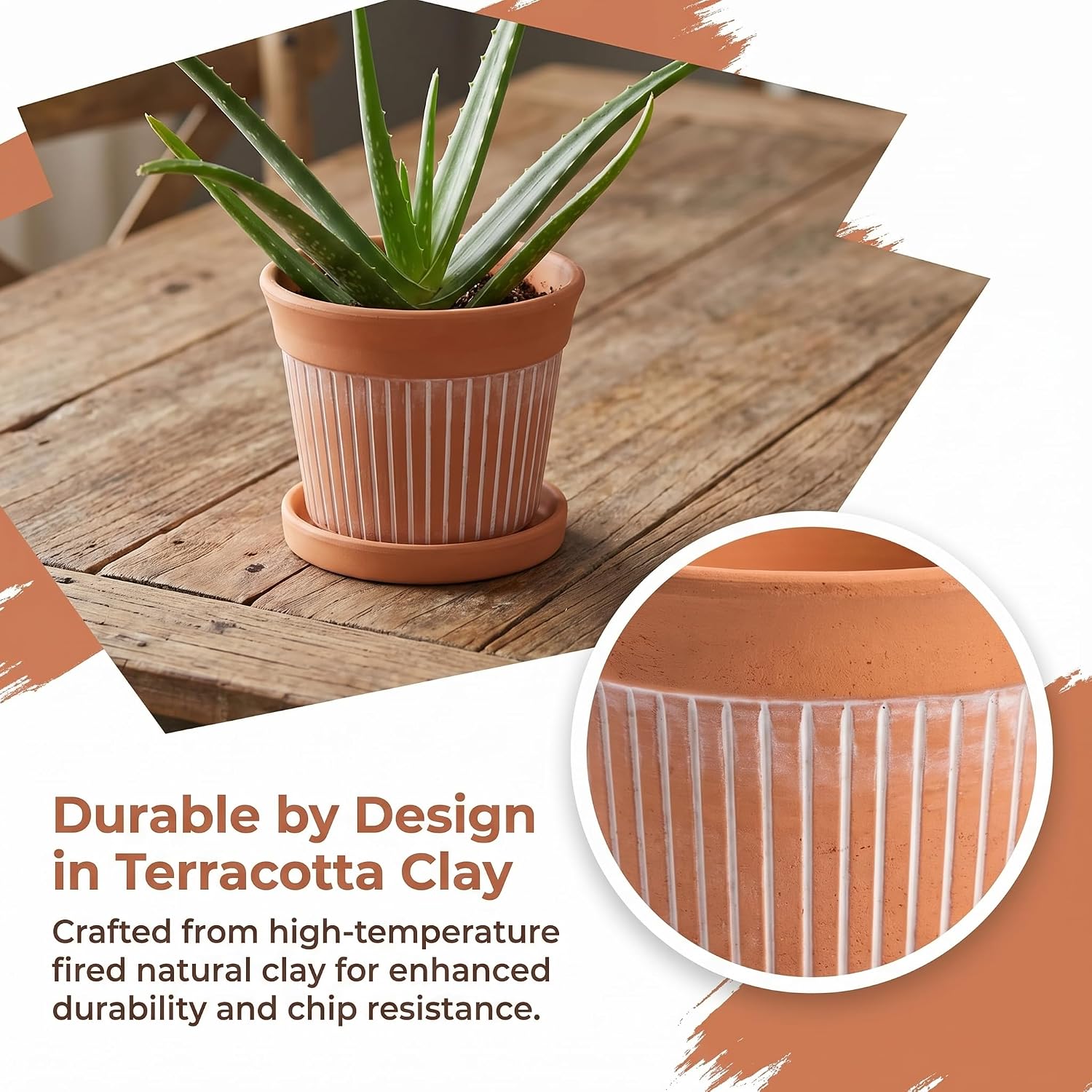 Cedilis 2 Pack Terracotta Pots, 6 inch Red Clay Pots with Drainage and Saucers, Terra Cotta Planter for Garden Cactus