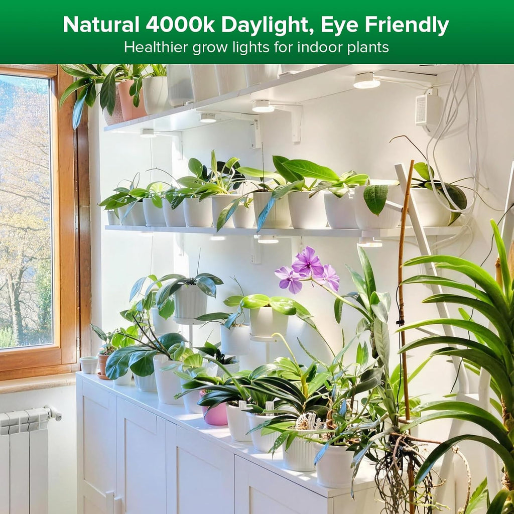 SANSI Puck Grow Lights for Indoor Plants,10W 2-Head Plant Lights with Timer | Full Spectrum Plant Lights for Indoor