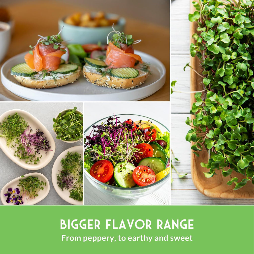 Microgreens Seeds Variety Pack – 15 Heirloom Sprouting Varieties | Indoor Countertop Growing – Broccoli, Radish, Kale