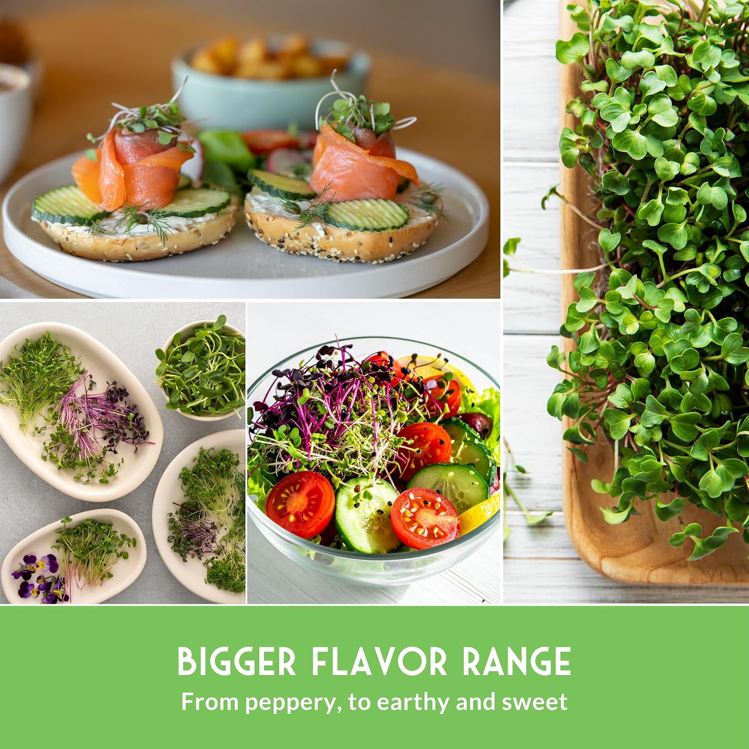 Microgreens Seeds Variety Pack – 15 Heirloom Sprouting Varieties | Indoor Countertop Growing – Broccoli, Radish, Kale