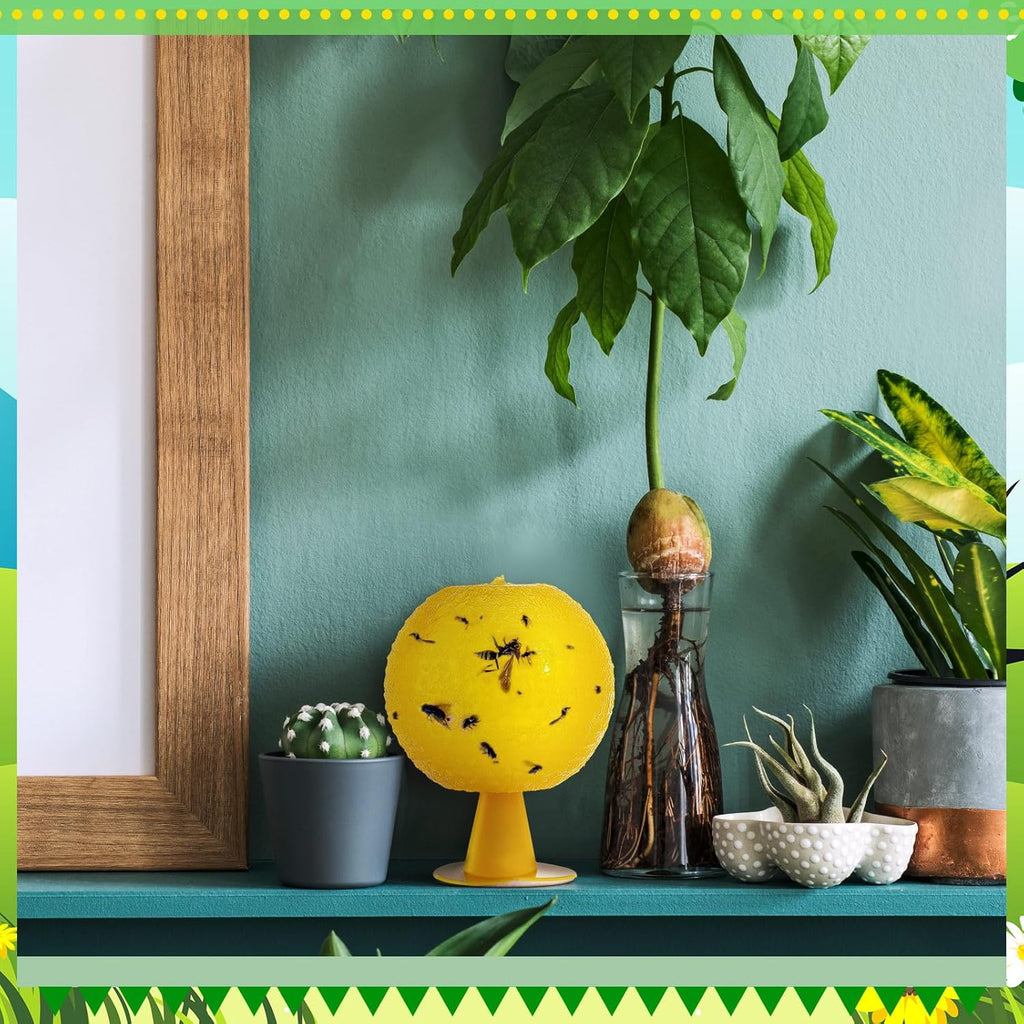 Qualirey 10 Set Fruit Fly Sticky Trap Balls Fungus Gnat Killer Bug Catcher Gnat Trap Insect Traps Indoor Outdoor Plant