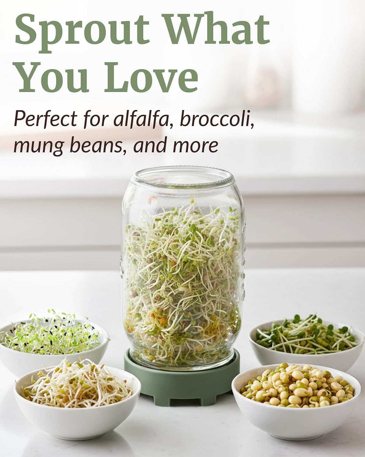 Elementi Sprouting Jar Kit - Set of 2 Wide Mouth Mason Jars with Sprout Lids & Stainless Steel Mesh Screen - Seed