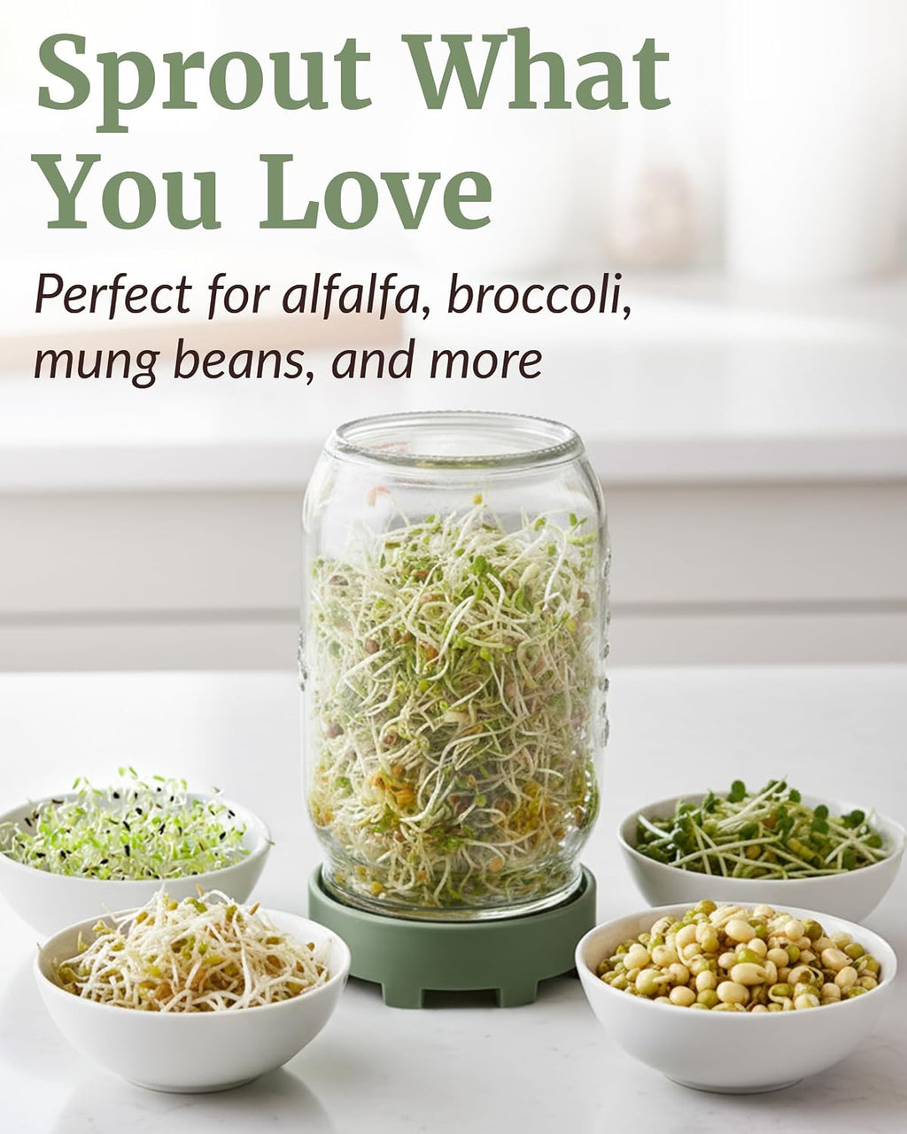 Elementi Sprouting Jar Kit - Set of 2 Wide Mouth Mason Jars with Sprout Lids & Stainless Steel Mesh Screen - Seed