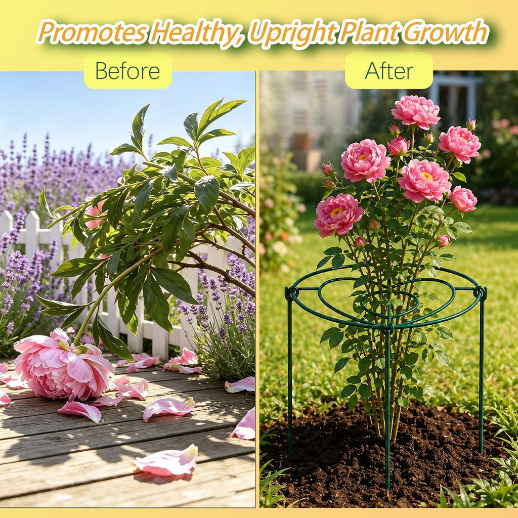 (3 Sets) Peony Cages and Supports, 16" Diameter, 4 x 24 Inches Legs, Heavy Duty Rust-Proof Grow Through Plant Support
