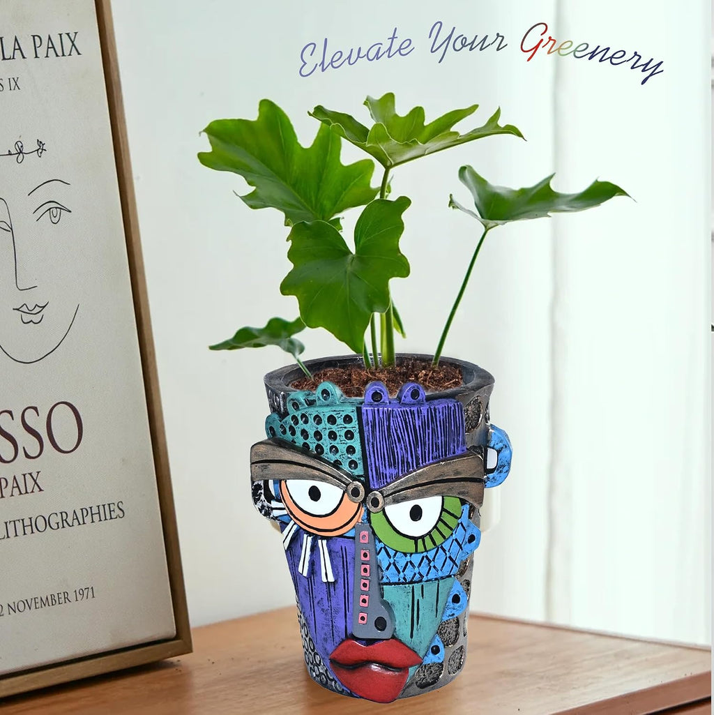 Midogaigai Abstract Face Planter Pots for Indoor Plants & Flowers Deco Gift | Funny Planter,Colorful Resin Flower Pots