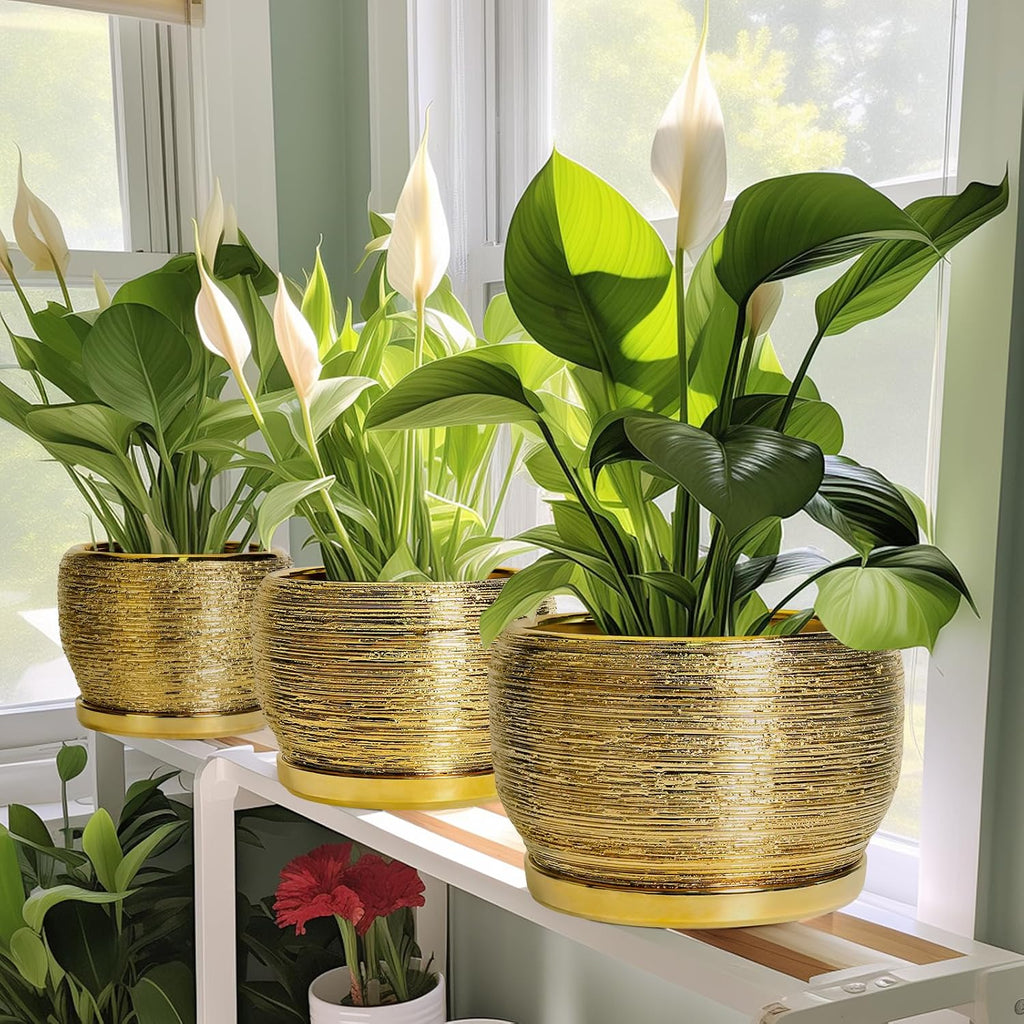 SQOWL Ceramic Flower Pot - 8 Inch Plant Pot Indoor Outdoor, Round Planter with Drainage Hole and Saucer, Decorative