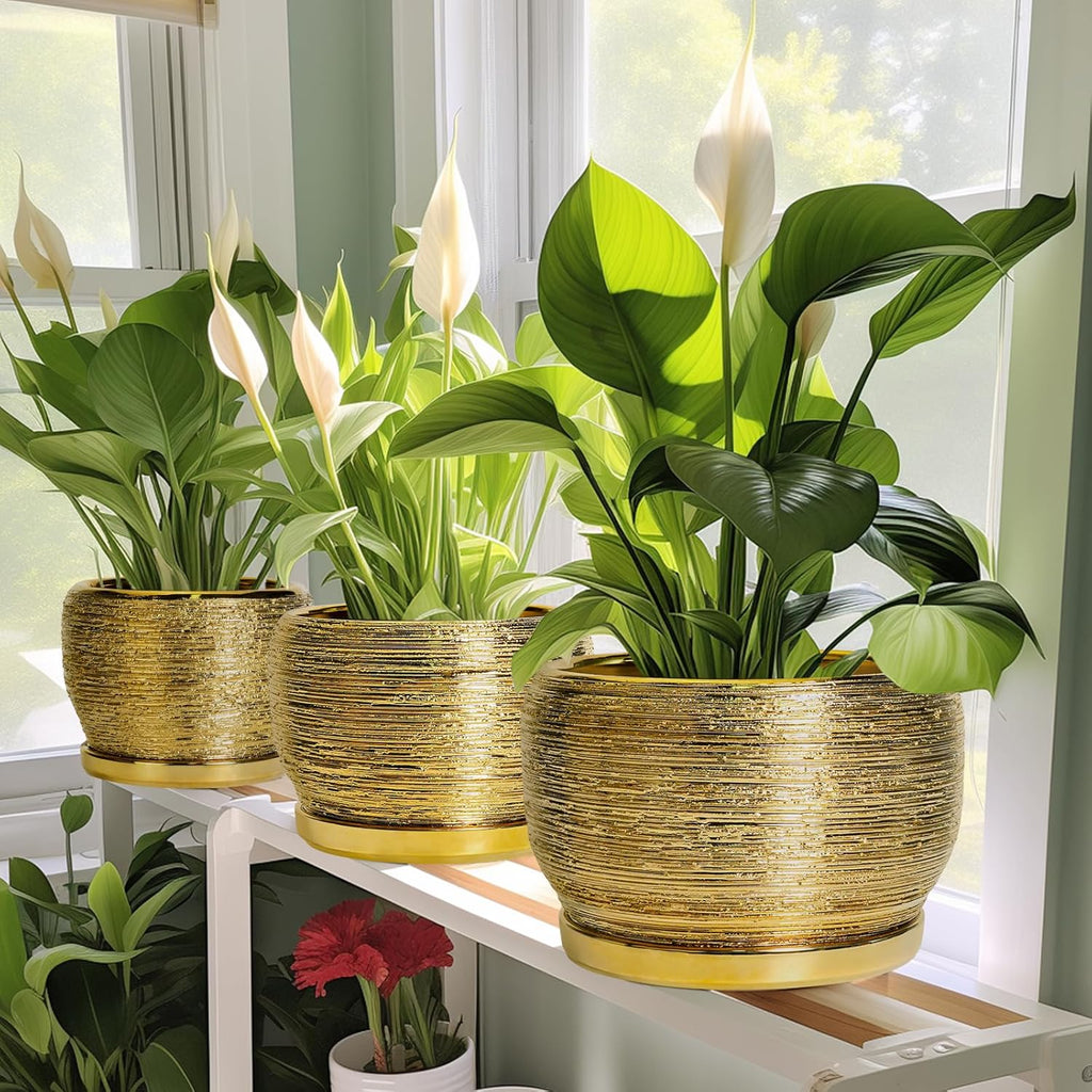 SQOWL Ceramic Planter - 6 Inch Plant Pot Indoor Outdoor, Modern Round Planter with Drainage Hole and Plant Saucer