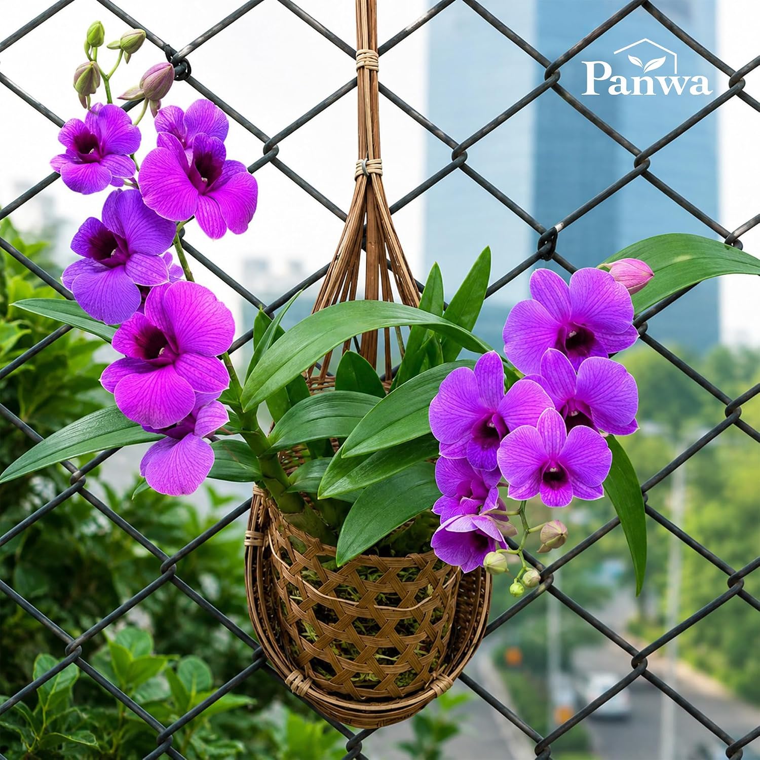 Handmade 100% Thai Bamboo Hanging Orchid Basket – 4 Inch Set of 3