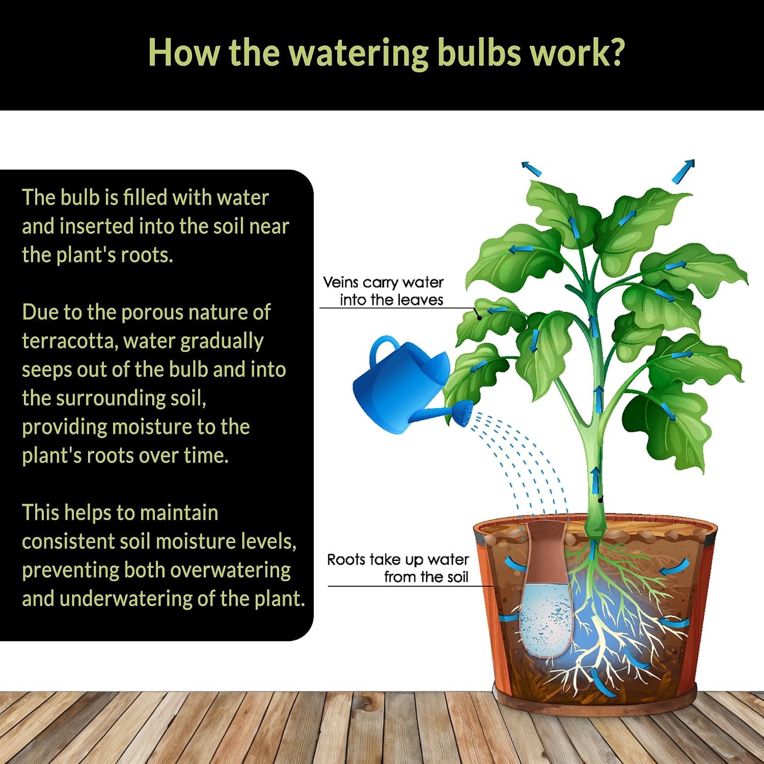 Ollas (Set of 4) | 12oz Terracotta Plant Watering Globes - Self Watering Planter Insert - Automatic Plant Watering
