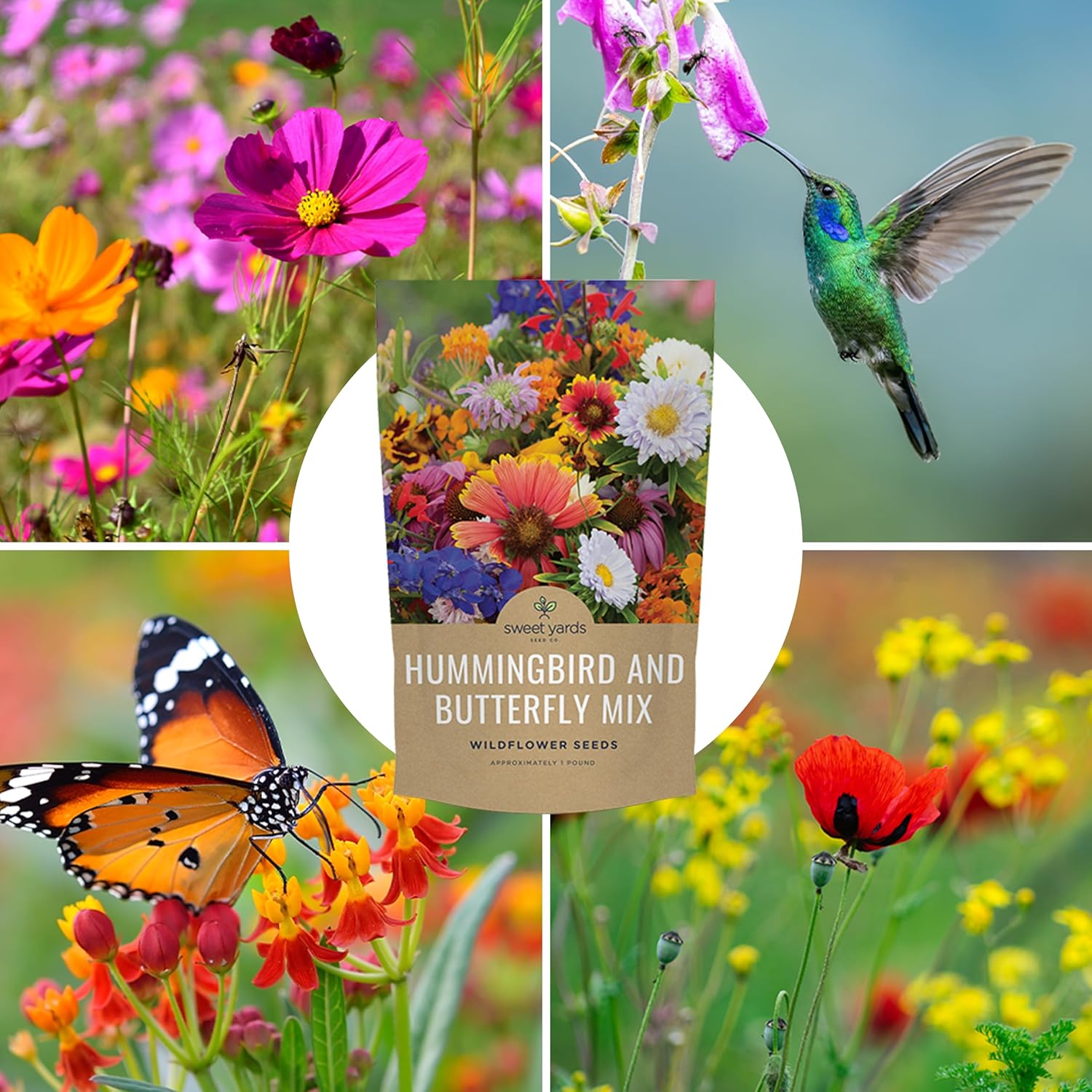 Bulk Wildflower Seeds Butterfly and Hummingbird Mix - 1 Pound Bag - Over 120,000 Open Pollinated Annual and Perennial