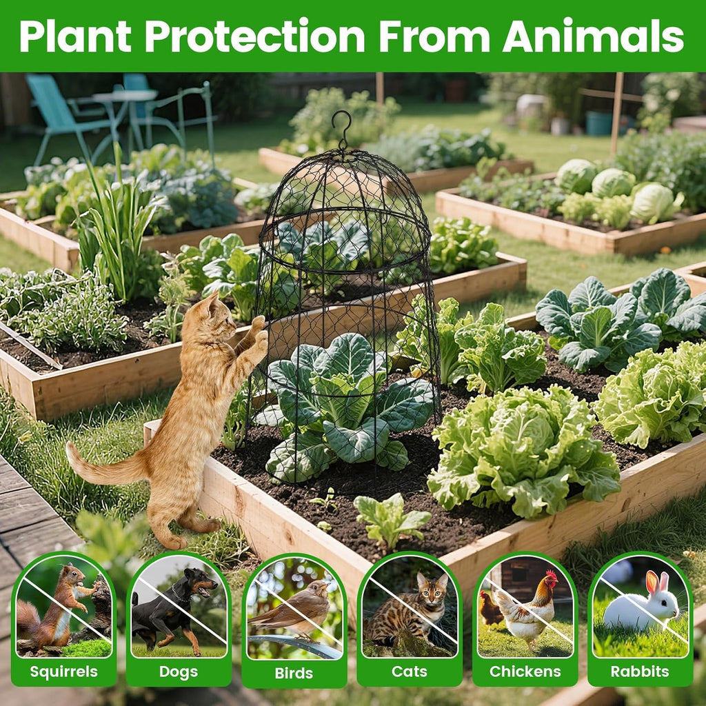 Plant Protector Chicken Wire Cloche 8 Psc, 20×12.6in Large Garden Plant Cage Protector, Split Design and Anti-Rust