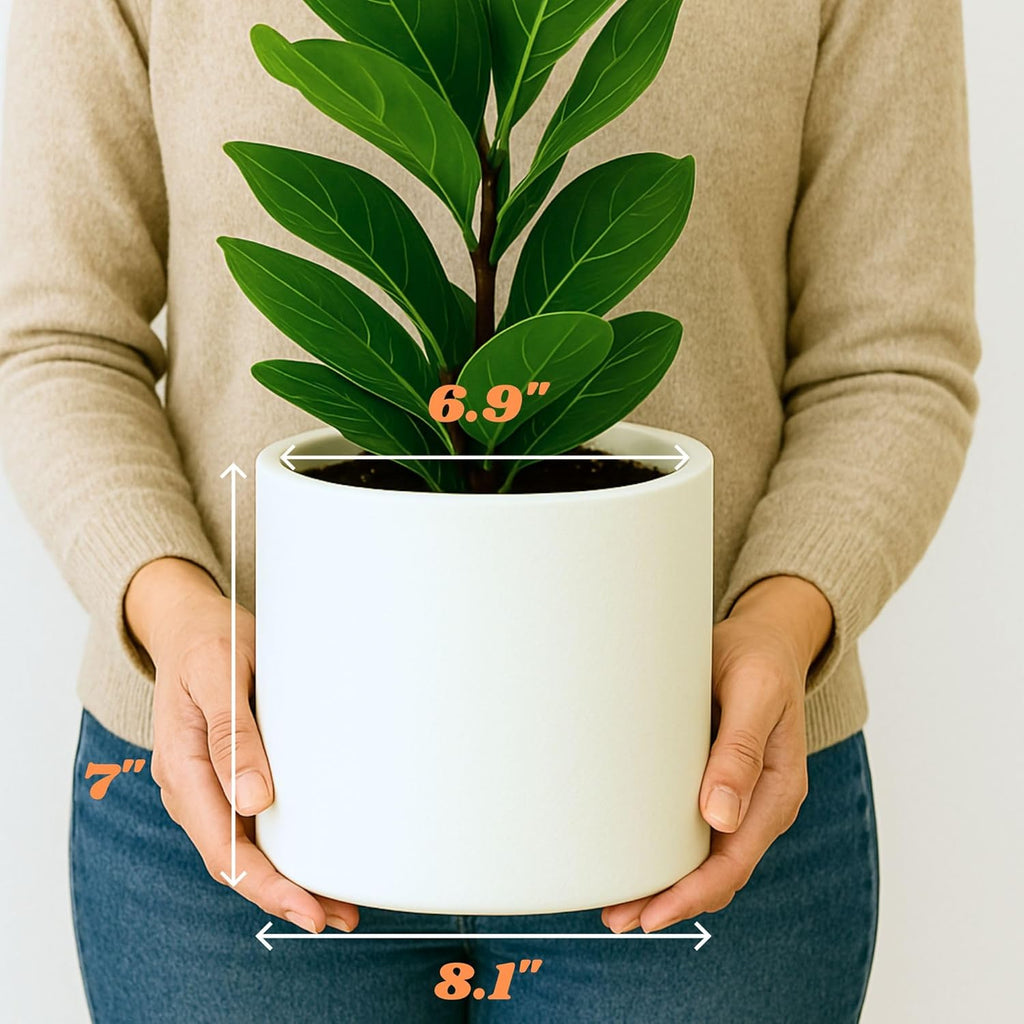 Fox & Fern Large Planter for Indoor or Outdoor, Matte White, 8 Inch | UV & Frost Resistant, 70% Lighter than Ceramic